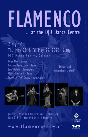 Flamenco at the DJD Dance Centre